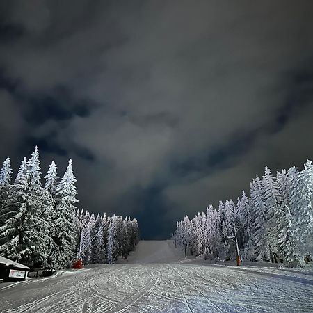 Vila Jezero Kopaonik Bagian luar foto